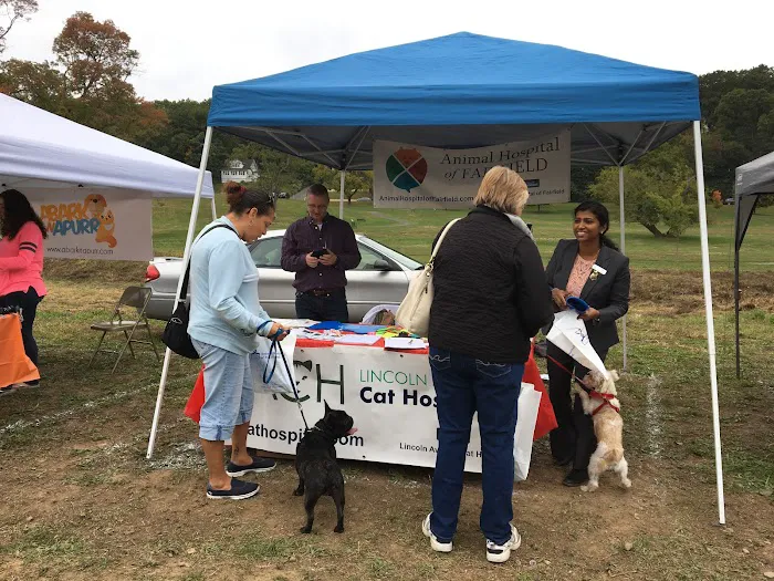 Lincoln Avenue Cat & Dog Hospital Picture 5