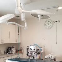 Animal Hospital Of Perth Amboy ico