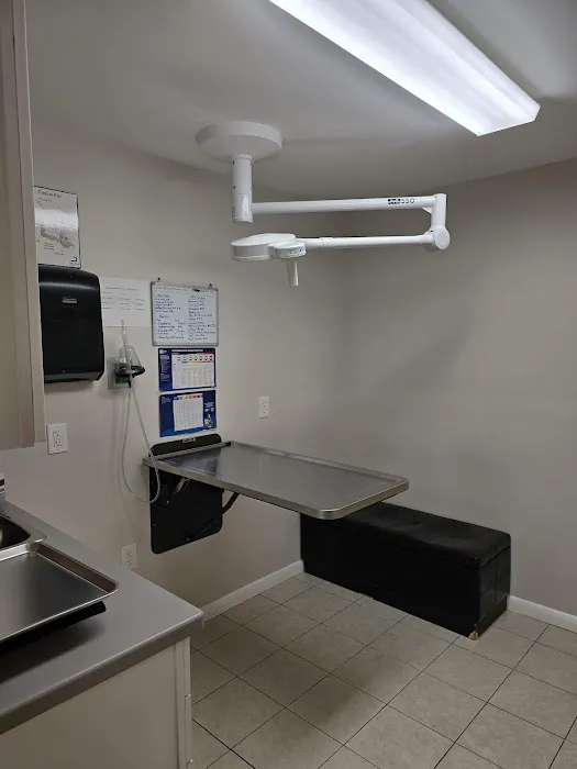 Animal Hospital Of Perth Amboy Picture 4