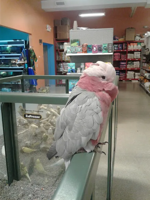 Petland Overland Park Picture 2