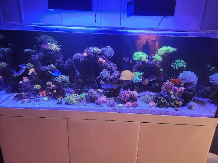 KC Fish Aquariums Picture 1