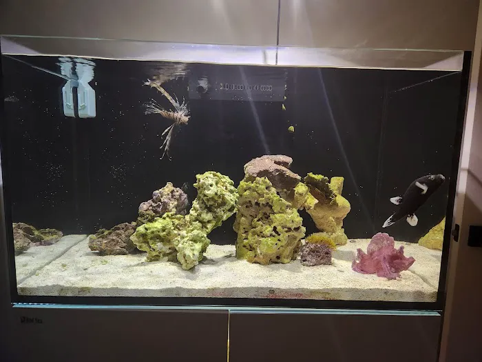 KC Fish Aquariums Picture 2