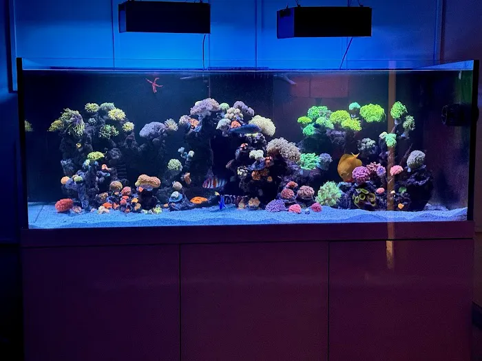 KC Fish Aquariums Picture 3
