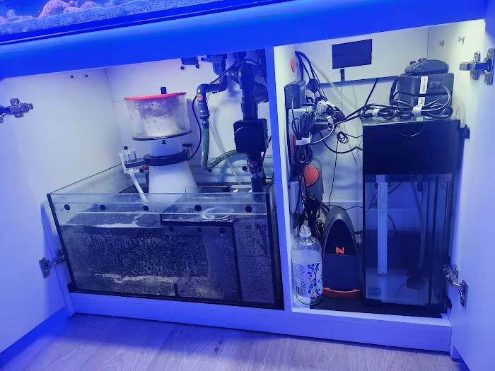 KC Fish Aquariums Picture 5