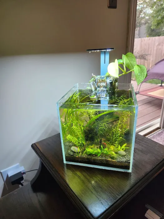 KC Fish Aquariums Picture 6