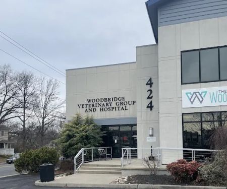 Woodbridge Veterinary Group
