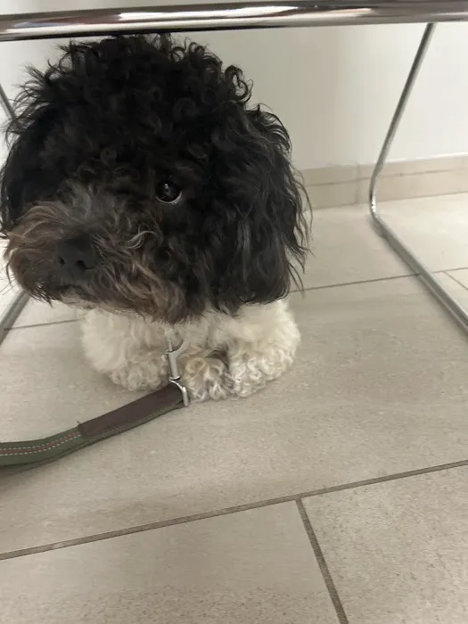 Garden State Veterinary Services Woodbridge Picture 1