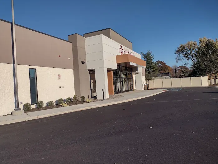 Animal Dermatology Clinic Picture 2