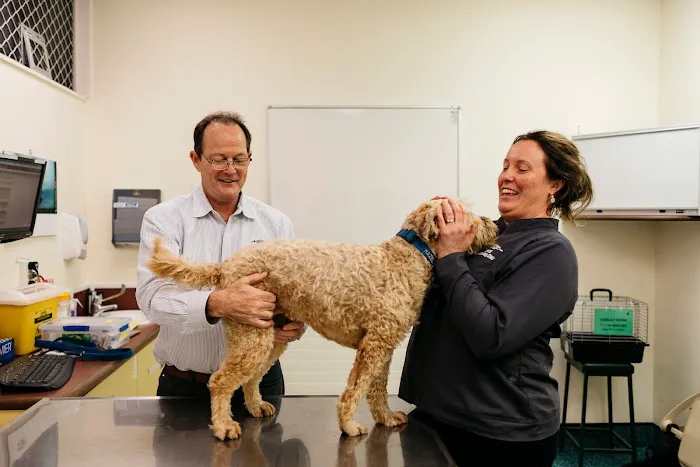 Animal Dermatology Clinic Picture 6