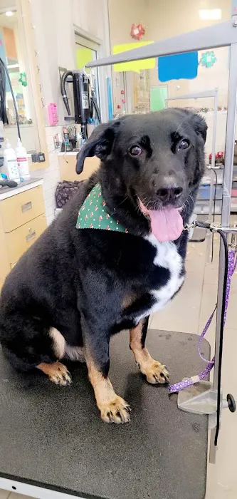 Petco Picture 2
