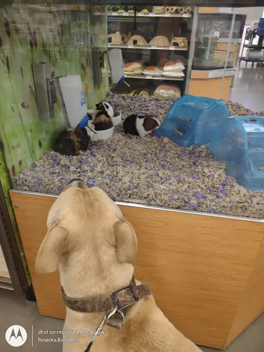 Petco Picture 3