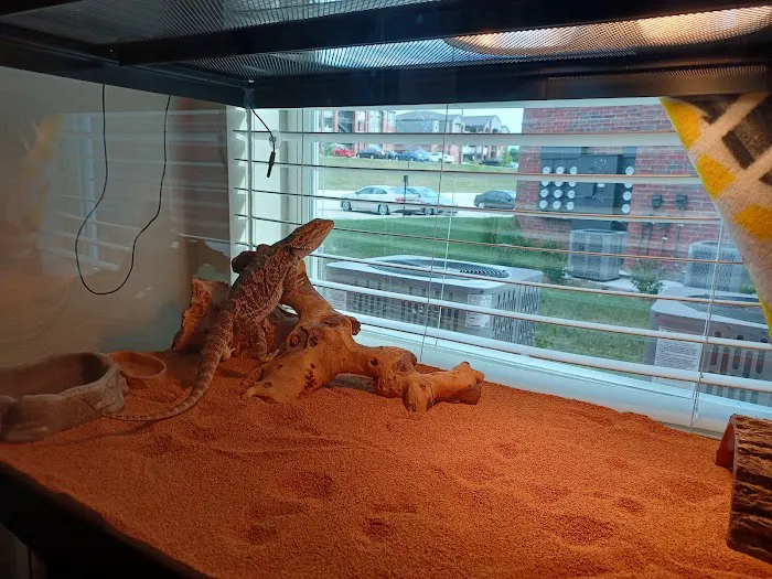 Petco Picture 6