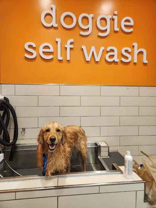 Petco Picture 10