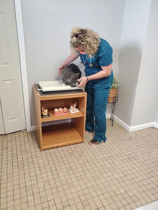Hopelawn Animal Clinic Picture 5