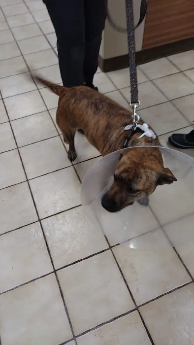 Animal Hospital of Sayreville Picture 6