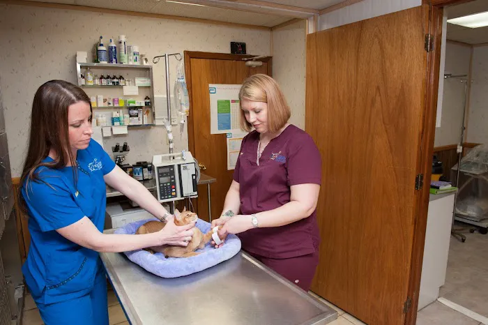 Animal Hospital of Sayreville Picture 10