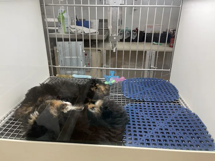 Petland Independence Picture 6