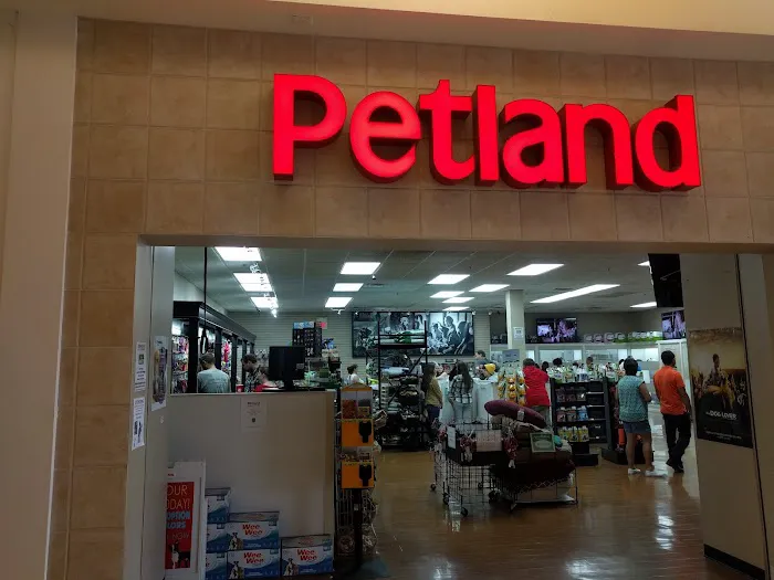 Petland Independence Picture 5