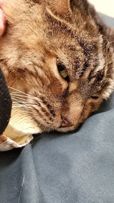 Banfield Pet Hospital Picture 6