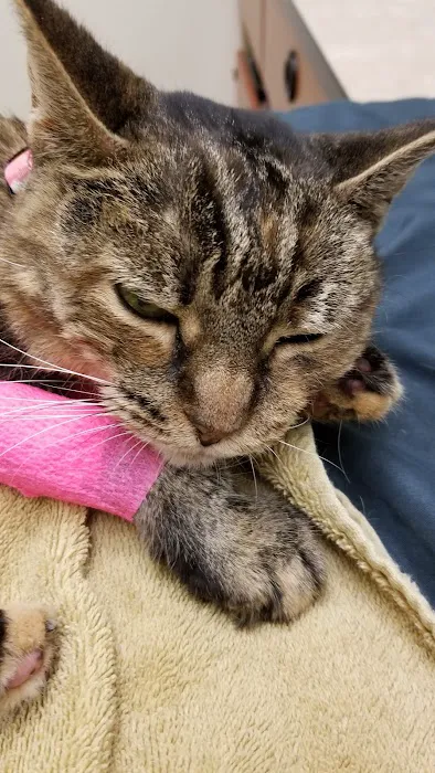 Banfield Pet Hospital Picture 5