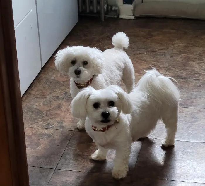 Banfield Pet Hospital Picture 4