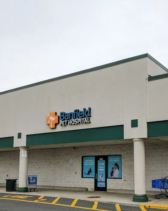 Banfield Pet Hospital Picture 3