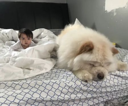 Banfield Pet Hospital