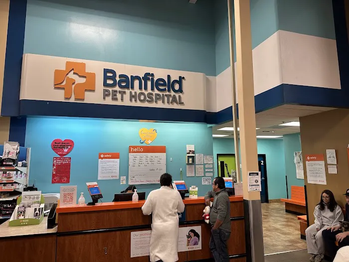 Banfield Pet Hospital Picture 7