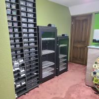 Celtic Balls LLC (Appointment Required) ico
