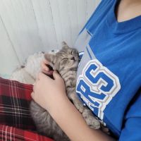 St Georges Veterinary Hospital: Mark Pamela M DVM ico