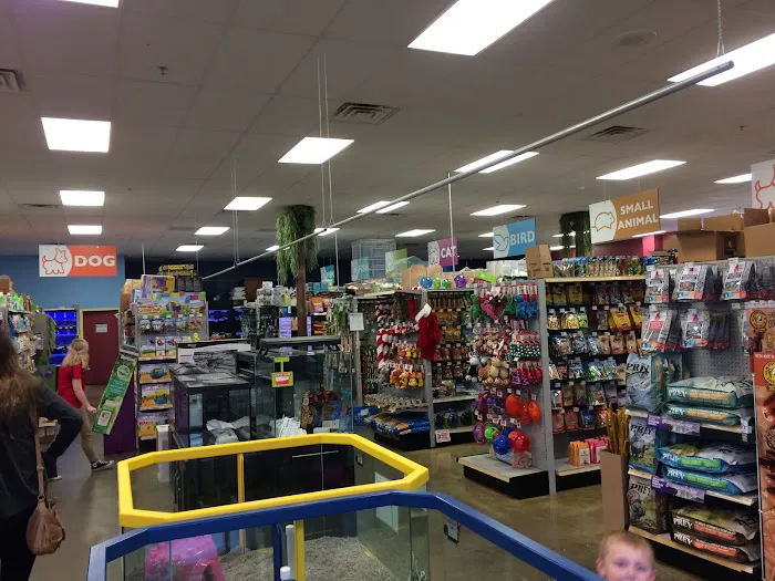 Petland Blue Springs Picture 3
