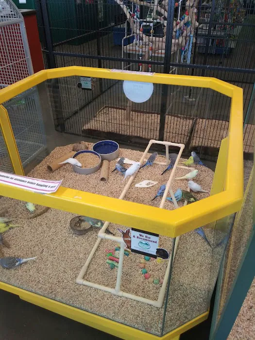 Petland Blue Springs Picture 8