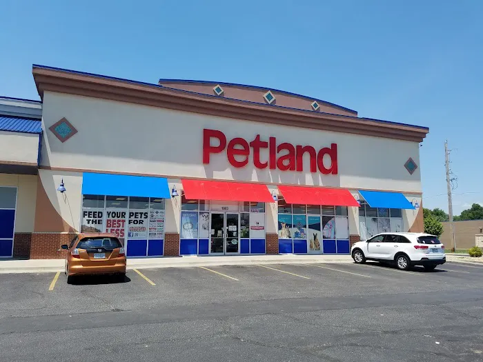 Petland Blue Springs Picture 4