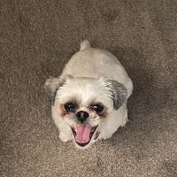 St. Georges Veterinary Hospital ico