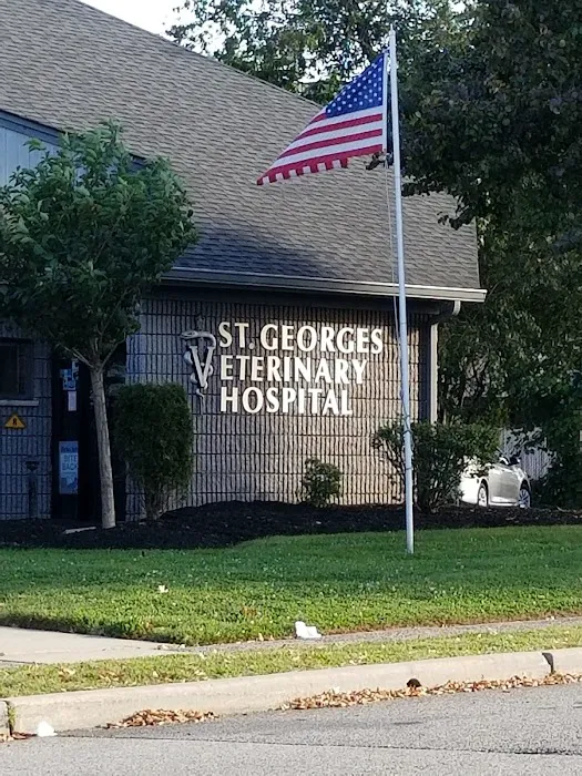 St. Georges Veterinary Hospital Picture 5
