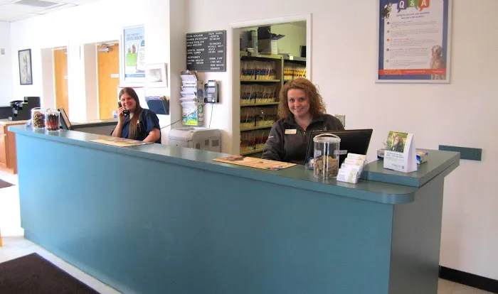 VCA Iselin Animal Hospital Picture 3