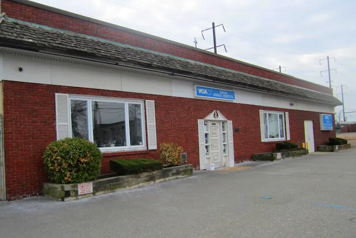 VCA Iselin Animal Hospital Picture 4