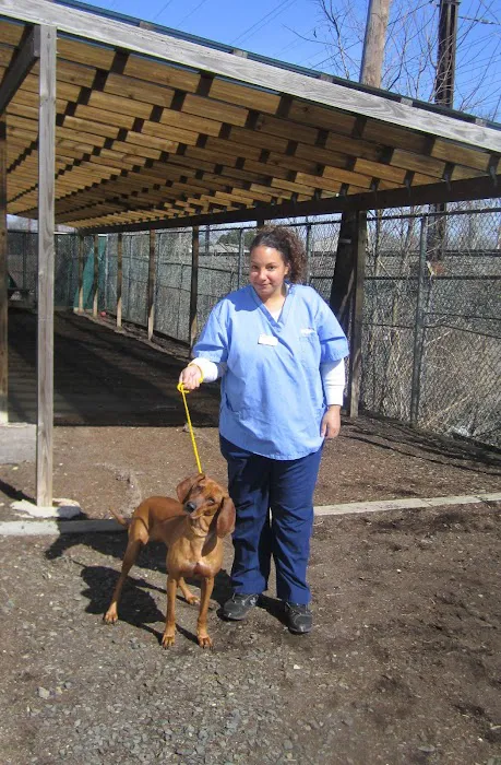 VCA Iselin Animal Hospital Picture 5