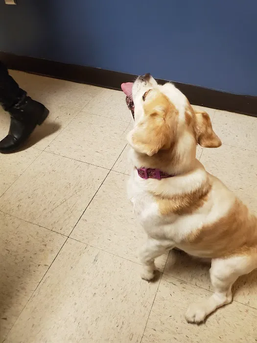 VCA Iselin Animal Hospital Picture 8