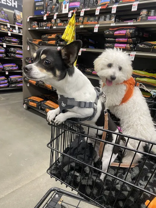 Petco Picture 8