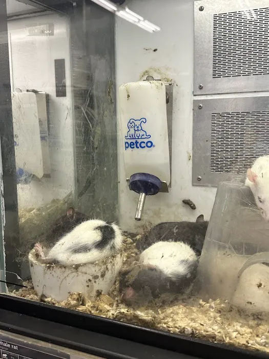 Petco Picture 5