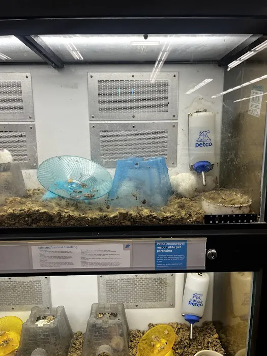 Petco Picture 10