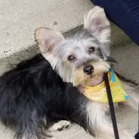Eastland Veterinary Hospital ico