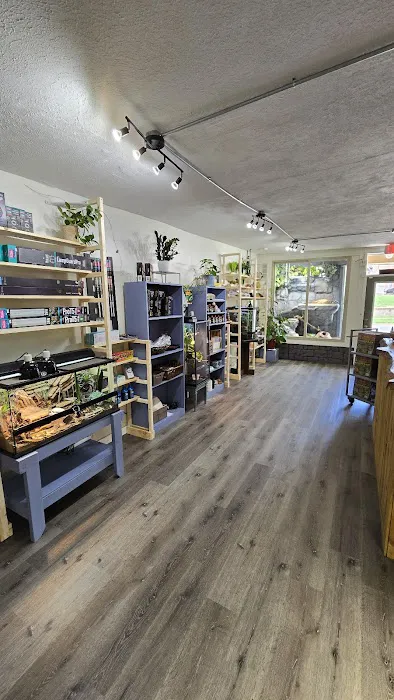 Bio Boutique Picture 2