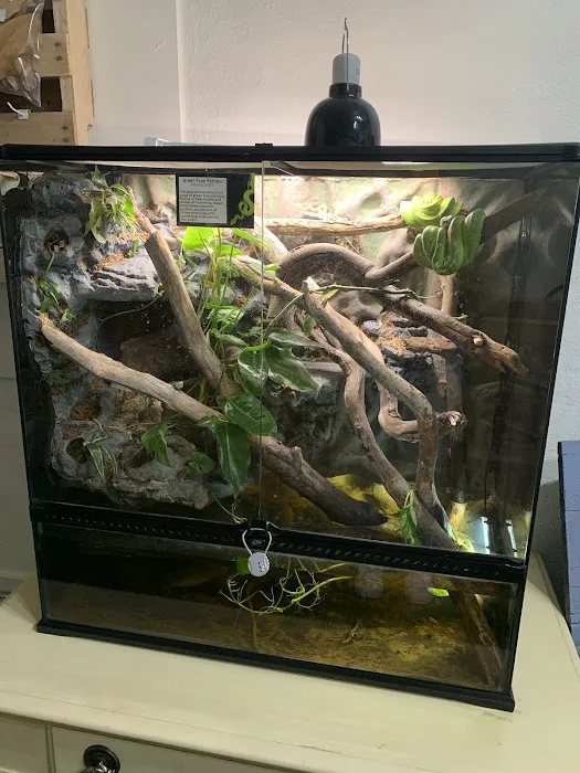 Bio Boutique Picture 9