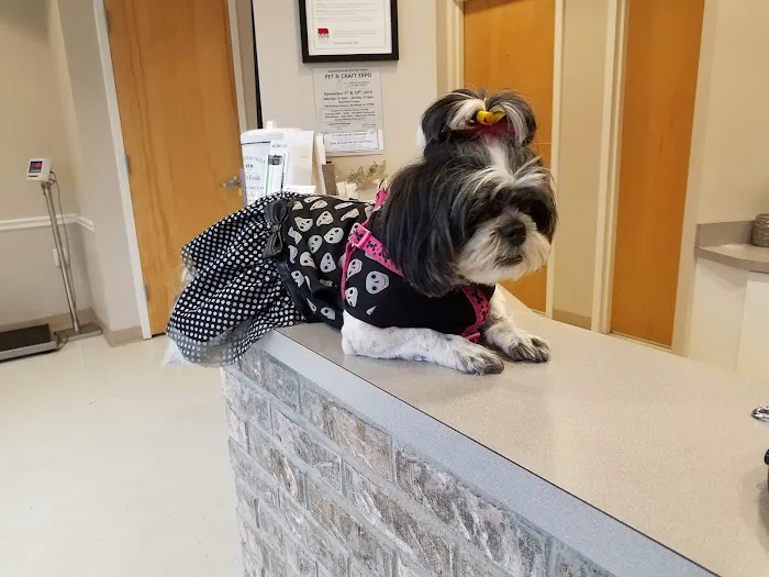 Union Animal Hospital Picture 1