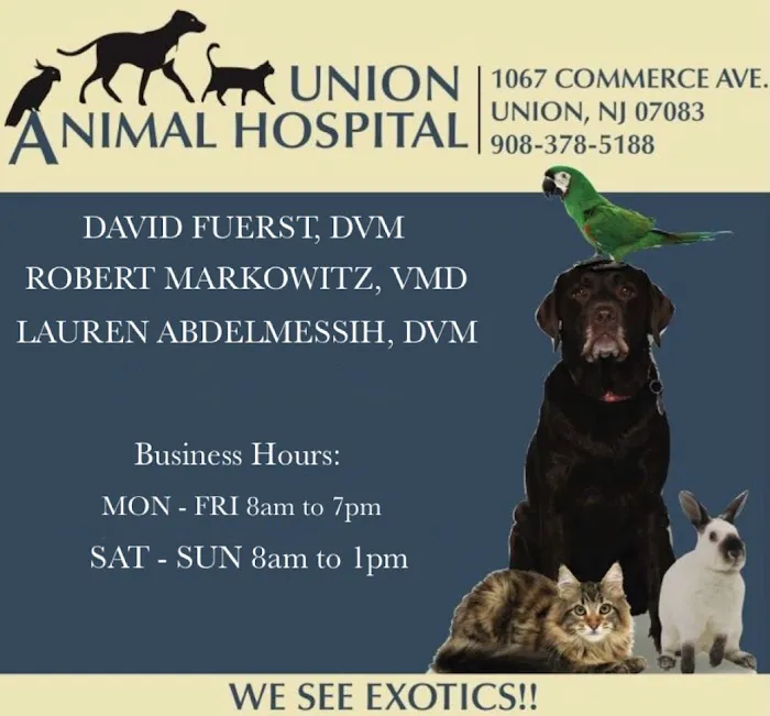 Union Animal Hospital Picture 4