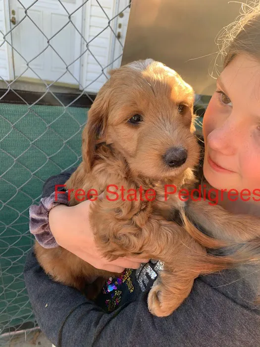 Free State Pedigrees Picture 7