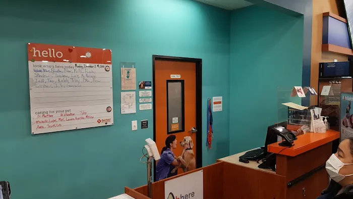 Banfield Pet Hospital Picture 1