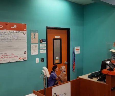 Banfield Pet Hospital